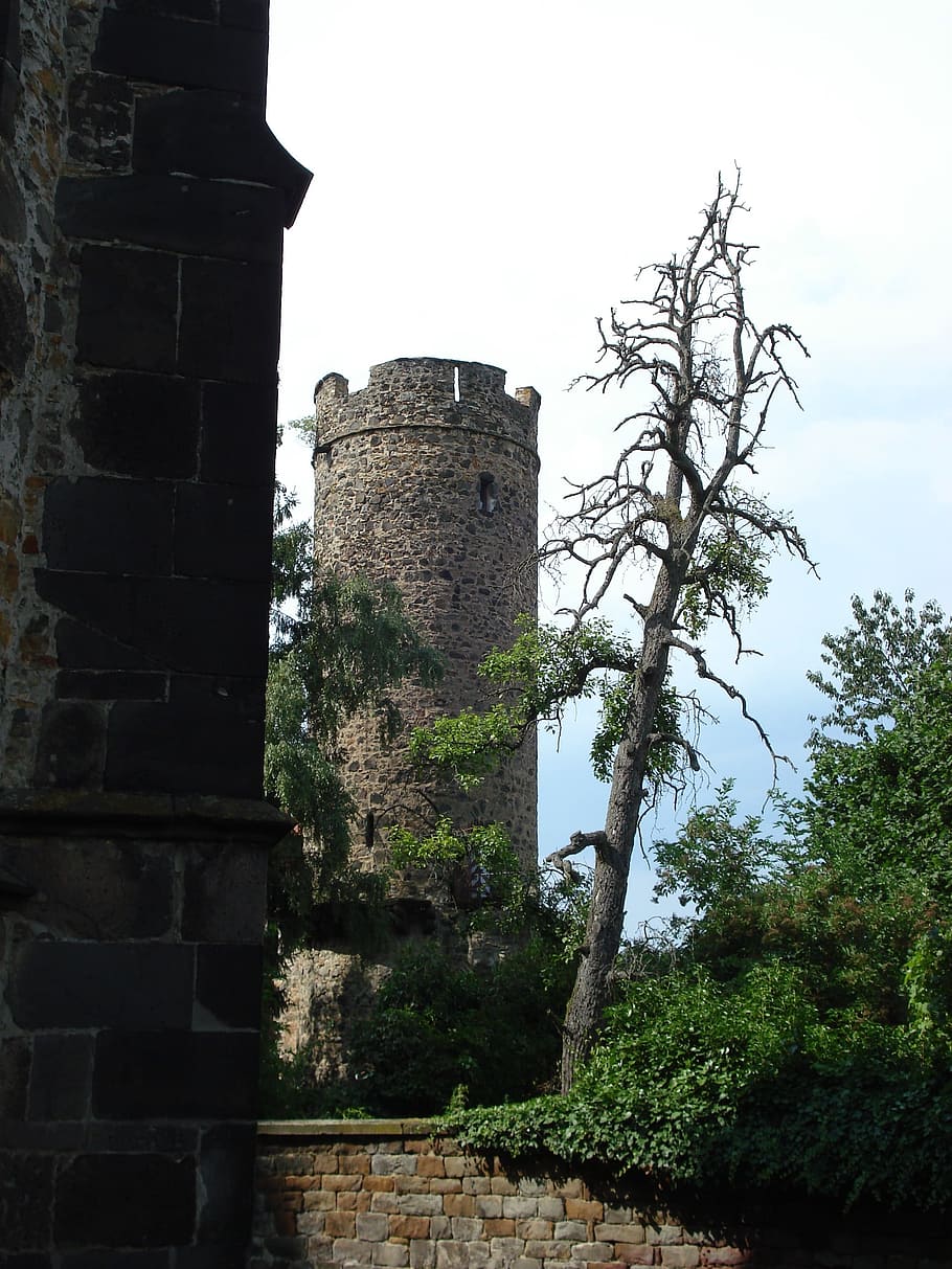 gray concrete castle near trees under blue skies, tower, fortress HD wallpaper