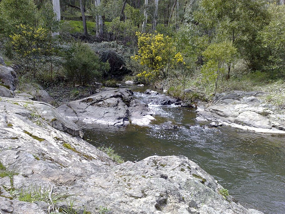 outdoor, river, australia, nature, water, landscape, natural, HD wallpaper