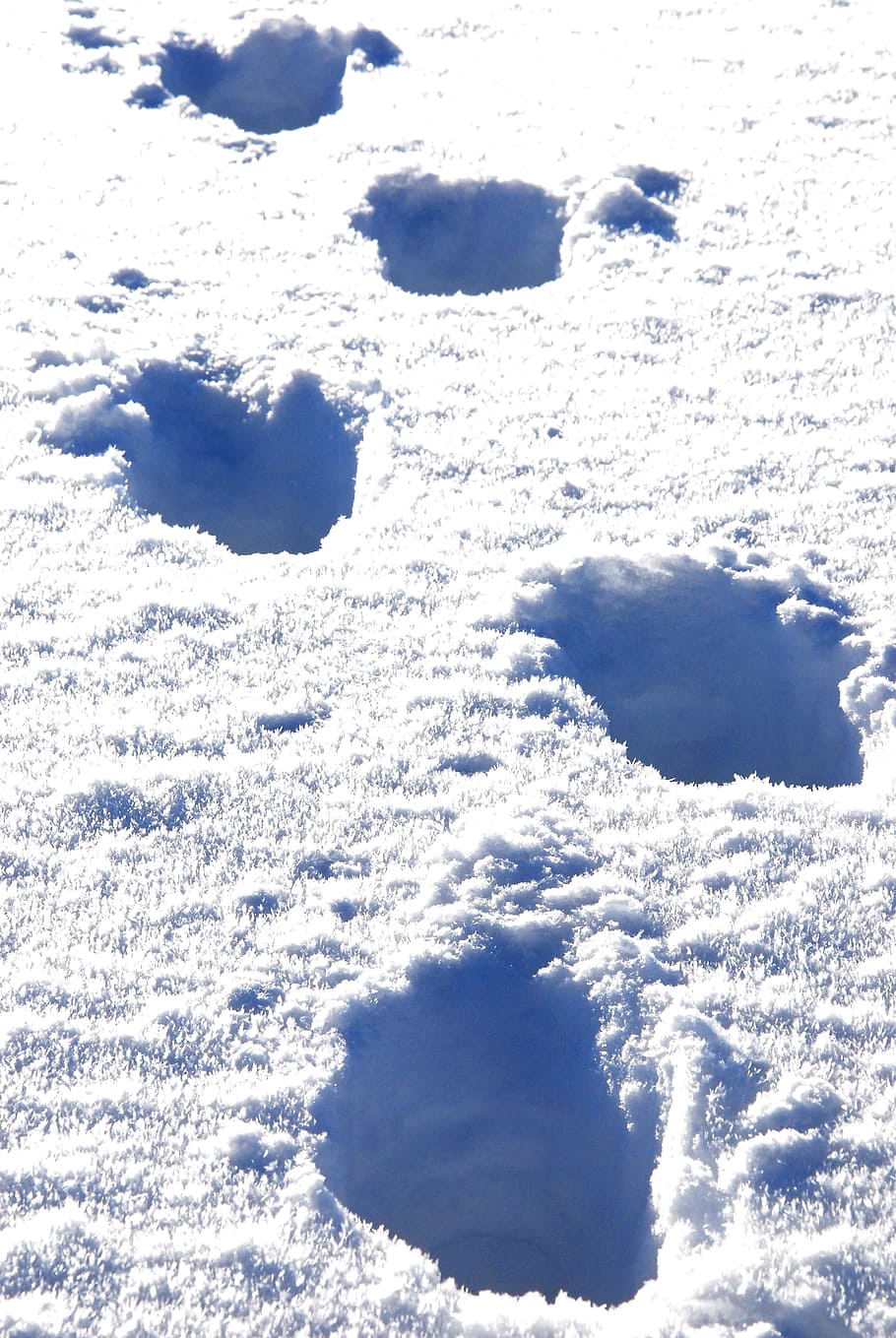 Snow, Traces, Trudge, blue, nature, white, weather, backgrounds HD wallpaper