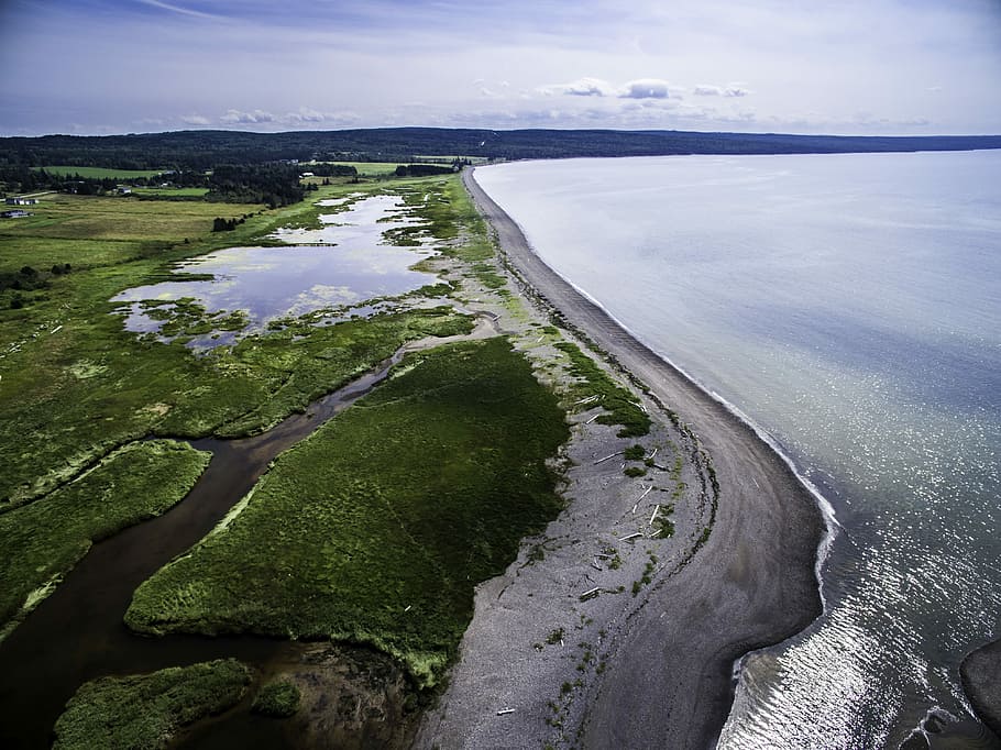 bird's-eye view of ocean waves, aerial view of trees and ocean ay daytime HD wallpaper