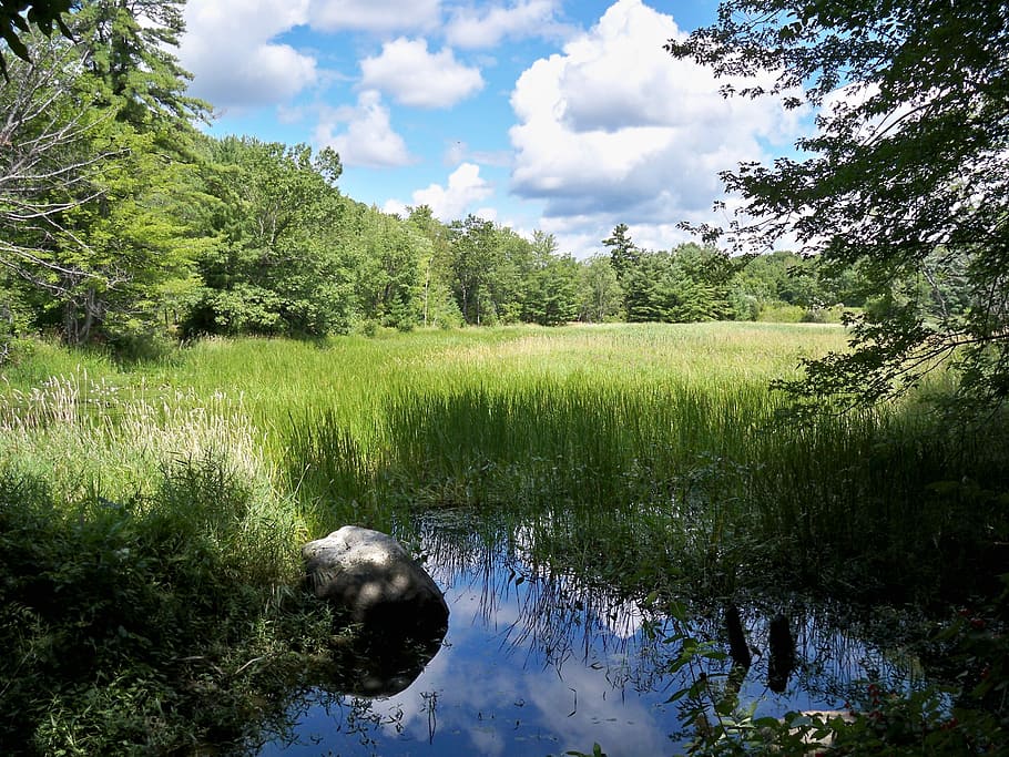 Sky, Water, Reflection, Nature, landscape, summer, blue, beautiful HD wallpaper