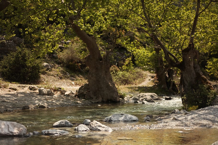 river, willow tree, nature, fantasy, summer, magic, fairy tales HD wallpaper