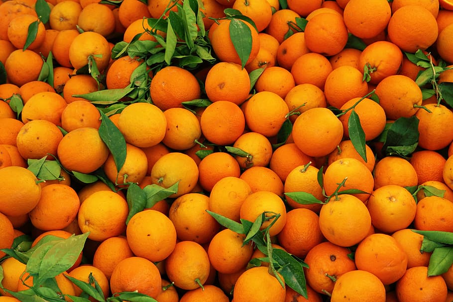 orange fruits, backdrop, background, citrus, color, food, fresh, HD wallpaper