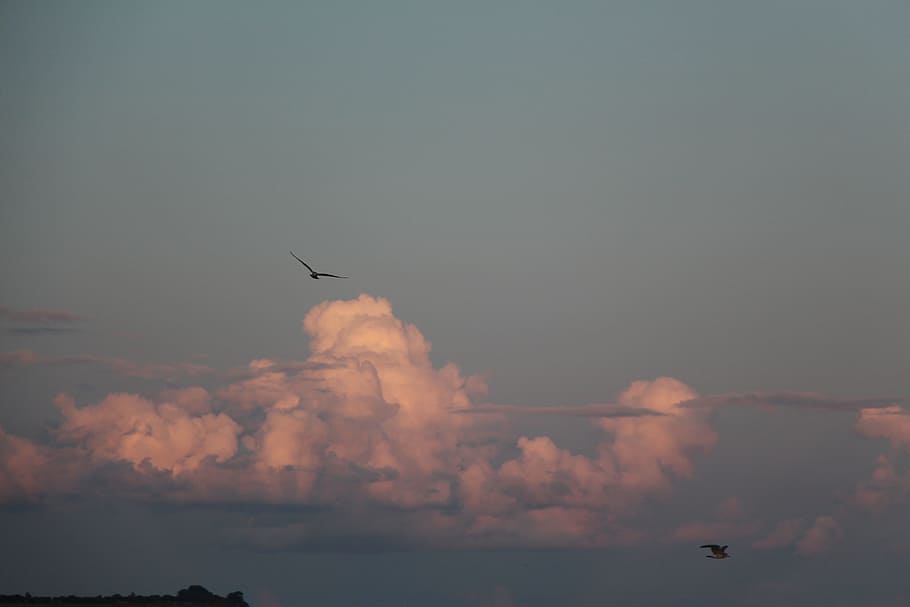 clouds, sky, birds, landscape, blue, clouds form, nature, spotlight HD wallpaper