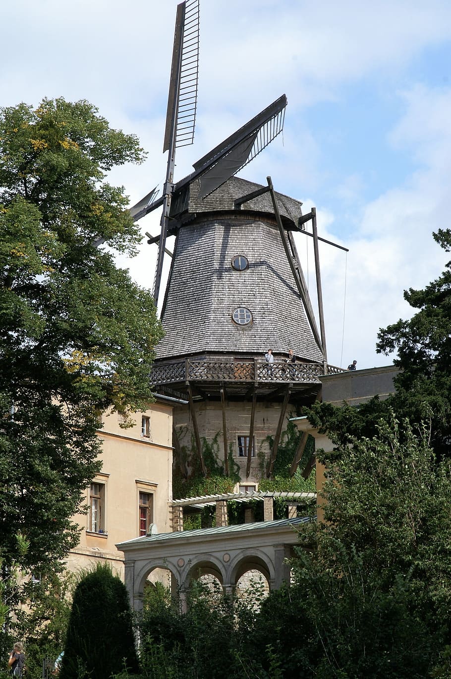 mill, potsdam, germany, built structure, plant, tree, sky, architecture HD wallpaper