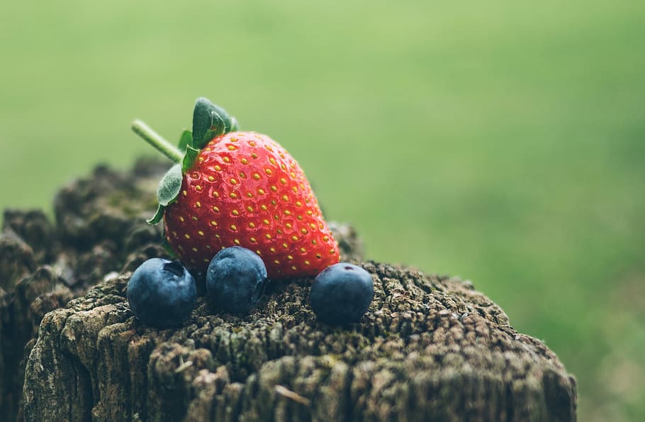 strawberry and three blueberries in closeup photography, selective focus photography of red strawberry and blueberries on top of wood stamp at daytime HD wallpaper