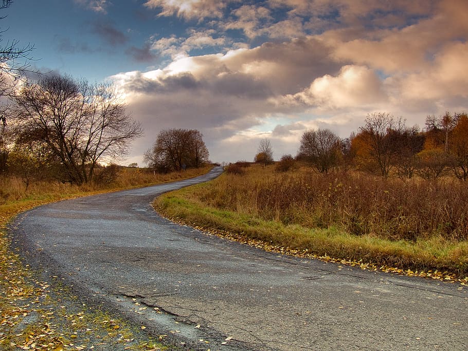 path, spring, nature, landscape, sky, spring landscape, clouds HD wallpaper