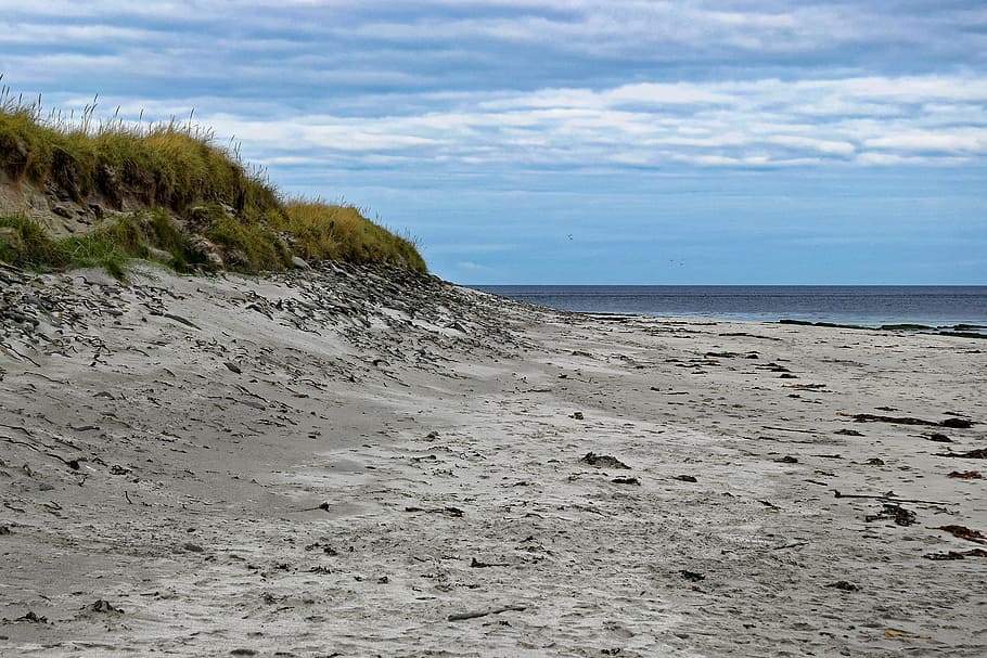 beach, sand, sea, sky, water, nature, coast, landscape, shore HD wallpaper
