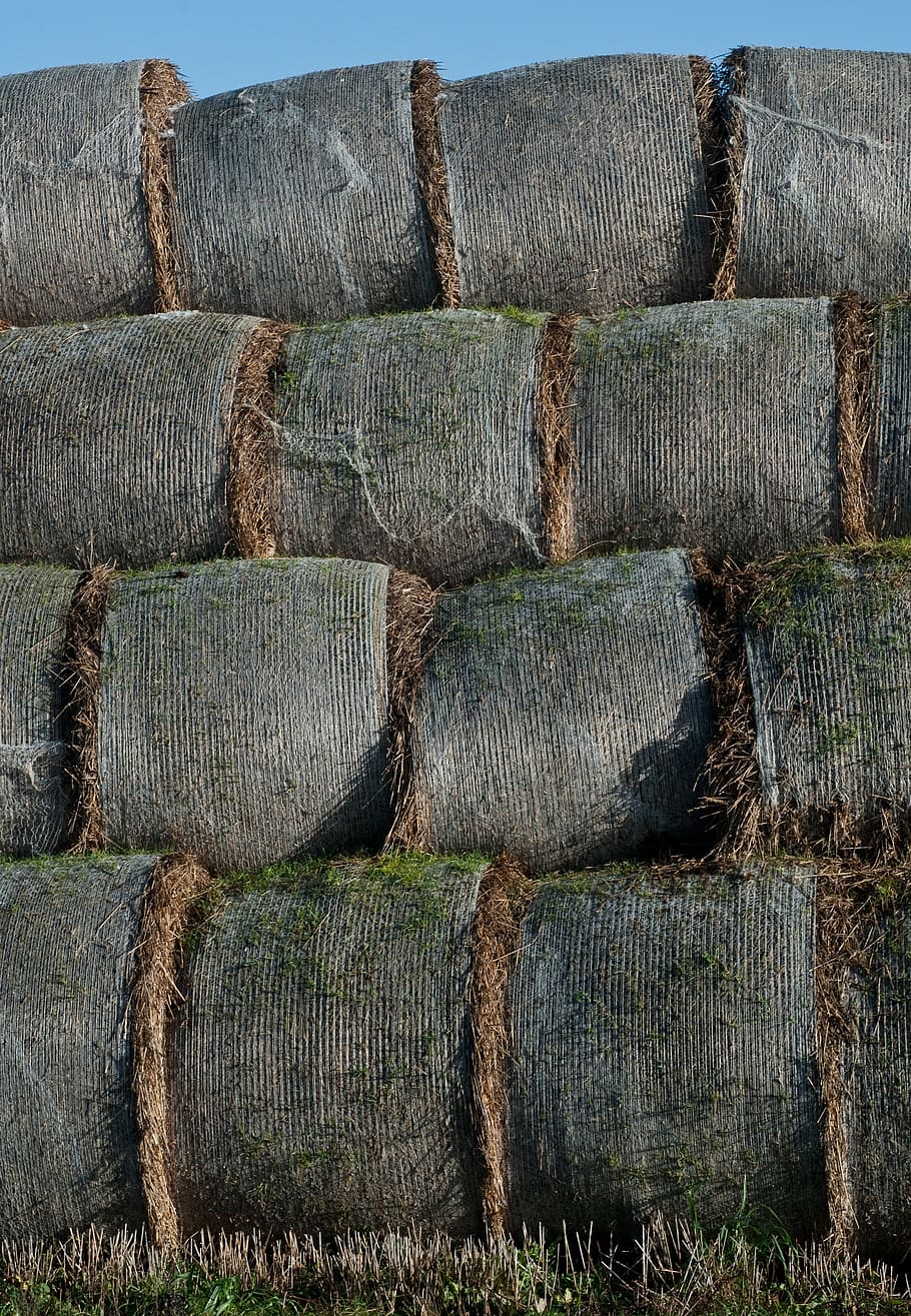 haystack, straw, agriculture, harvest, no people, day, wood - material HD wallpaper