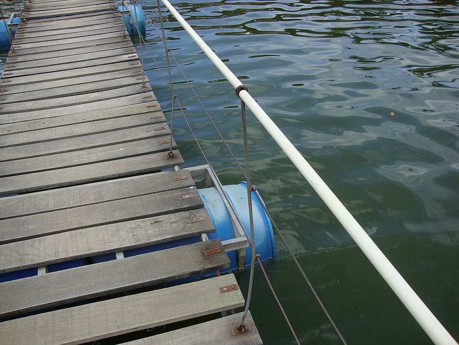 bridge, lake, park, nautical Vessel, water, nature, river, high angle view HD wallpaper