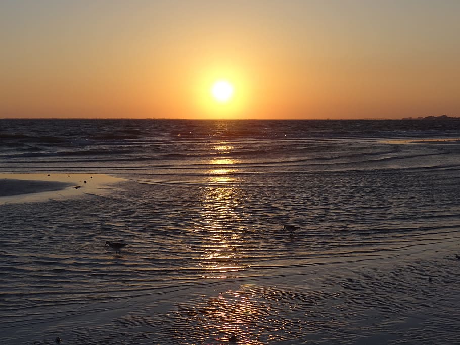 sunset, ocean, summer, gulf, water, sky, sea, scenics - nature HD wallpaper