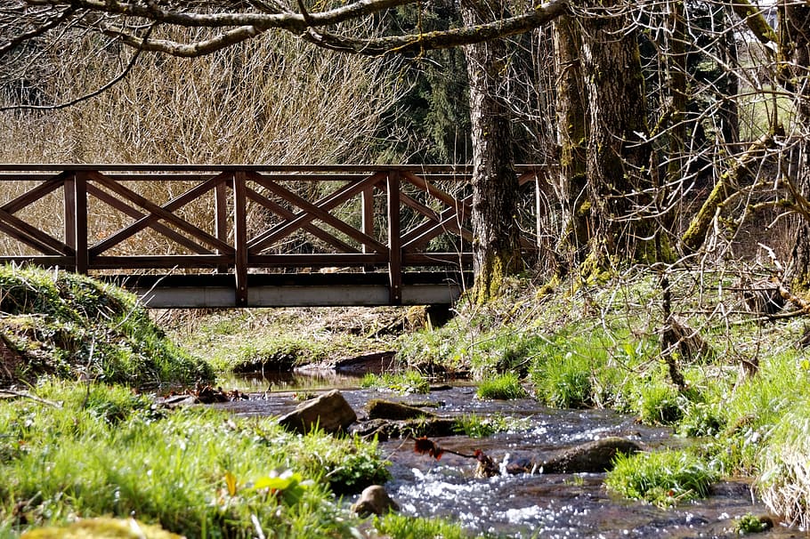 bach, water, forest, black forest, bridge, nature, landscape HD wallpaper