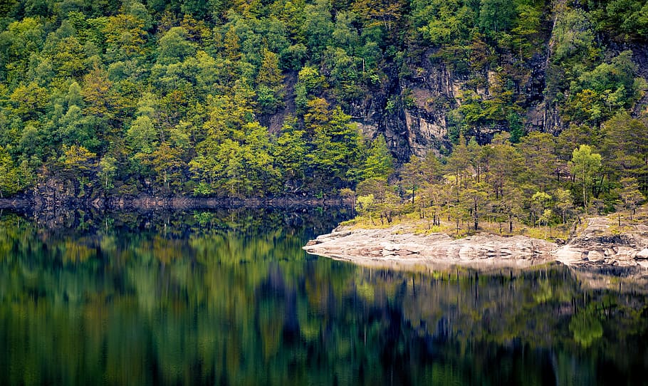 lake and green leafed trees, norway, forest, mountains, view HD wallpaper