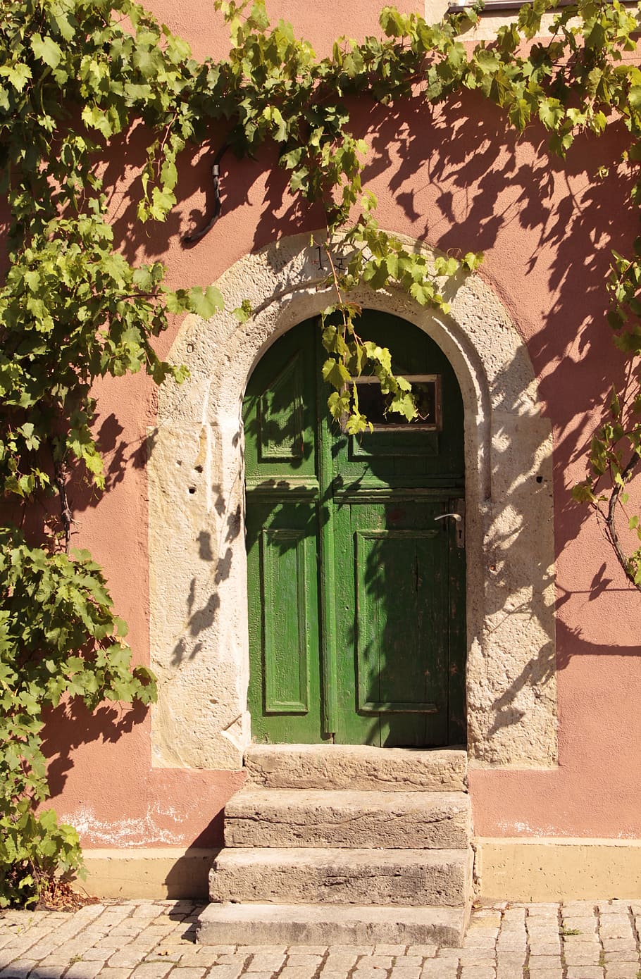 input, romance, overgrown, lonely, architecture, built structure HD wallpaper