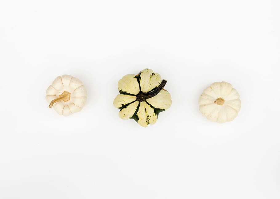 white, squash, vegetable, food, food and drink, studio shot HD wallpaper