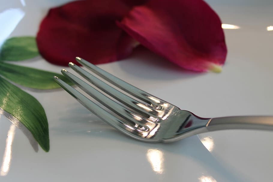 Kitchen, Fork, Pink, Petal, silverware, plate, food, table Knife HD wallpaper
