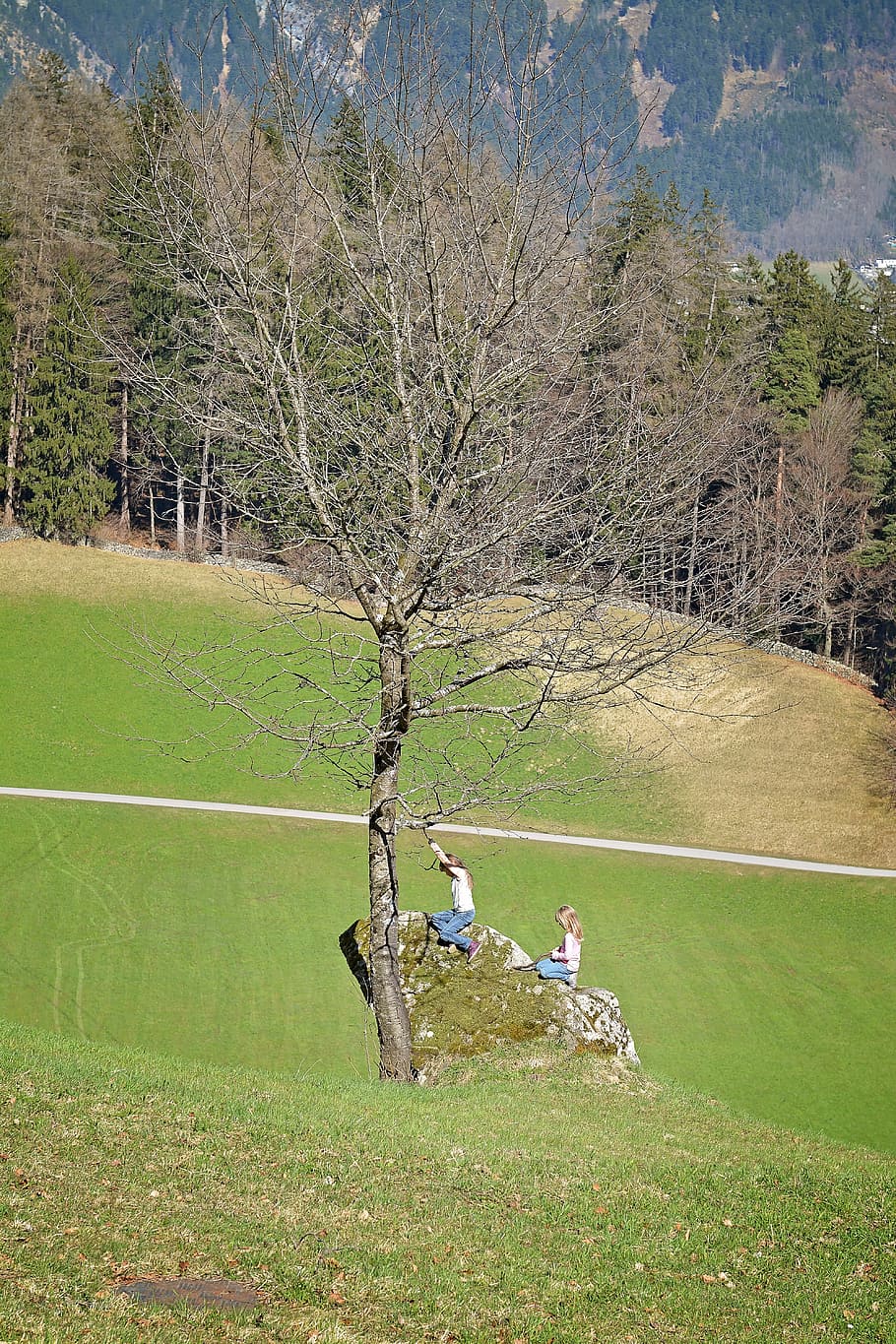 landscape, tree, reported, nature, out, stone, children, girl HD wallpaper