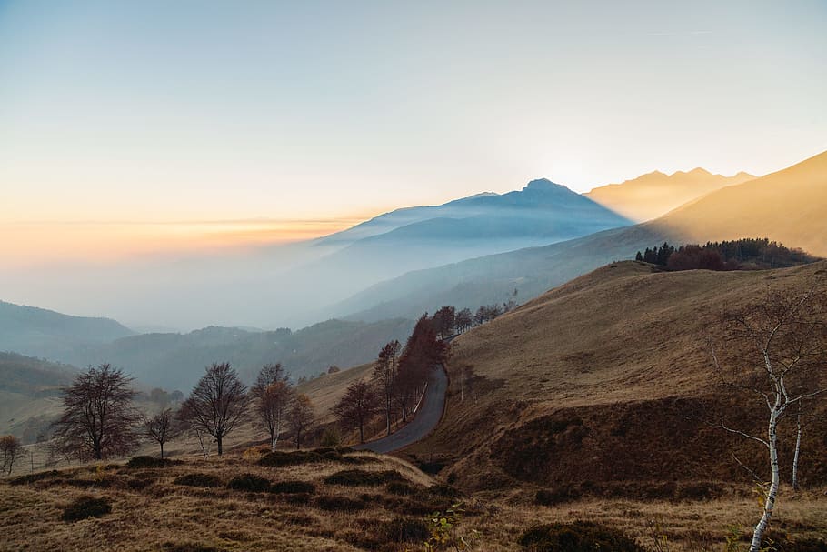 trees near mountain at daytime, gray road between of bare tress on top of hill HD wallpaper