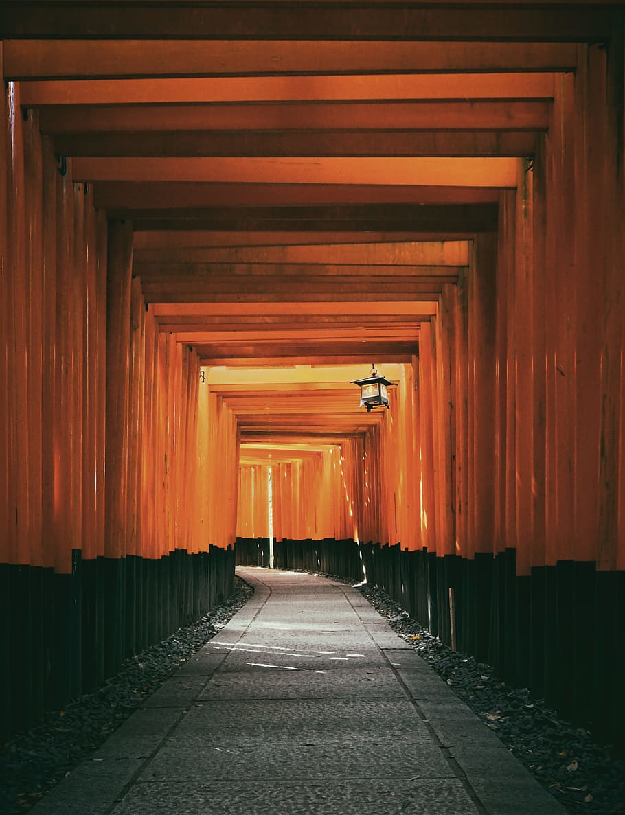 close up photography of empty brown and black tunnel, narrow pathway between black-and-brown concrete walls HD wallpaper