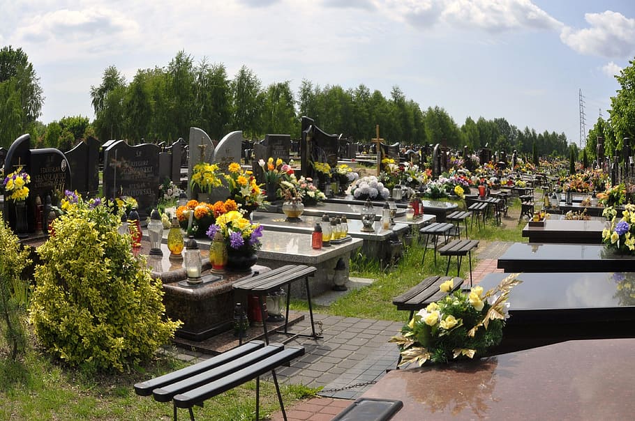 graveyard surrounded by green trees at daytime, Cemetery, Graves HD wallpaper