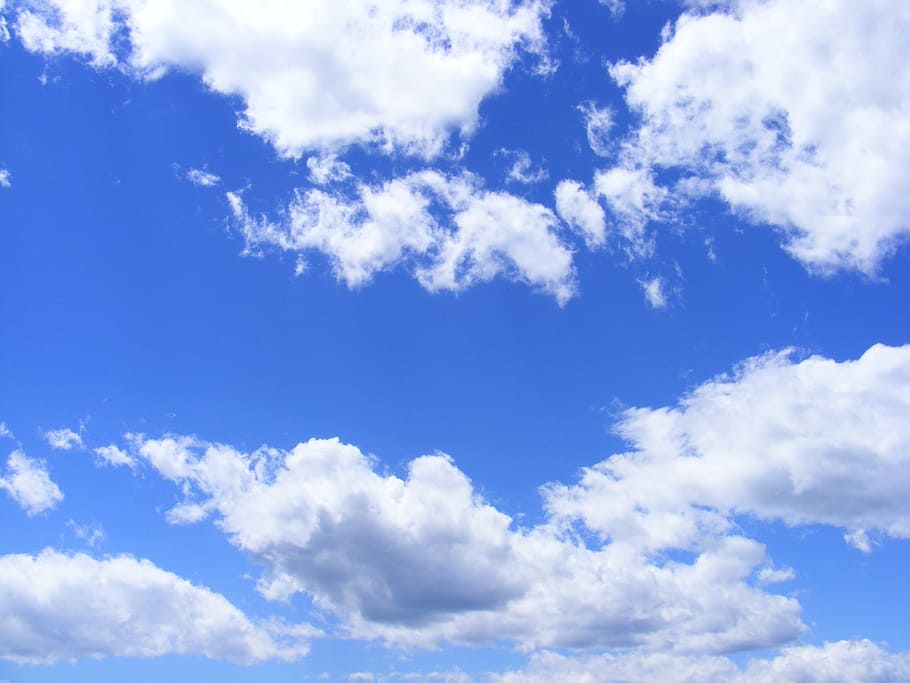 photography of white clouds, blue, day, fluffy, sky, summer HD wallpaper