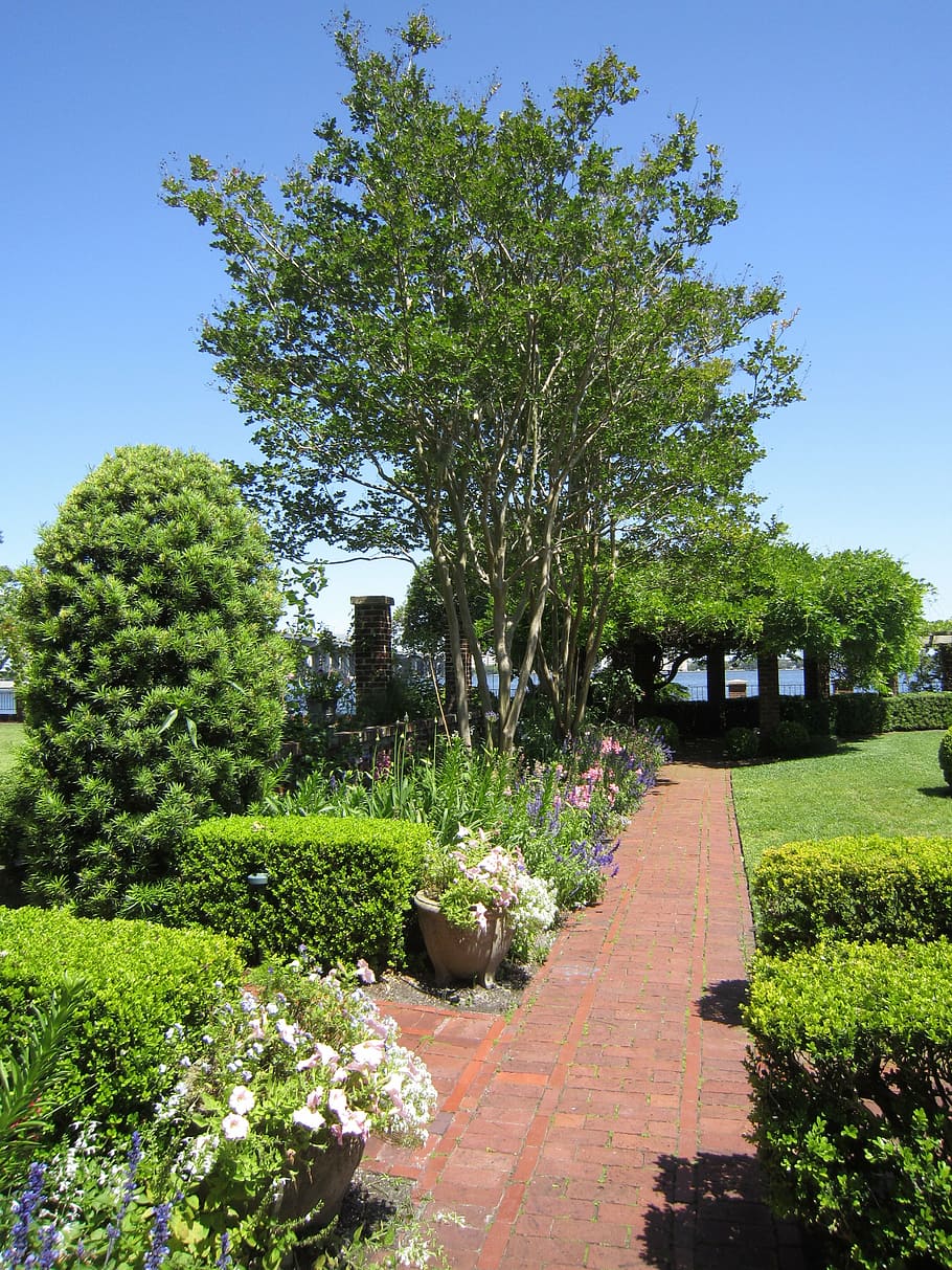 garden, landscape, path, nature, summer, outdoor, stone, landscaping HD wallpaper