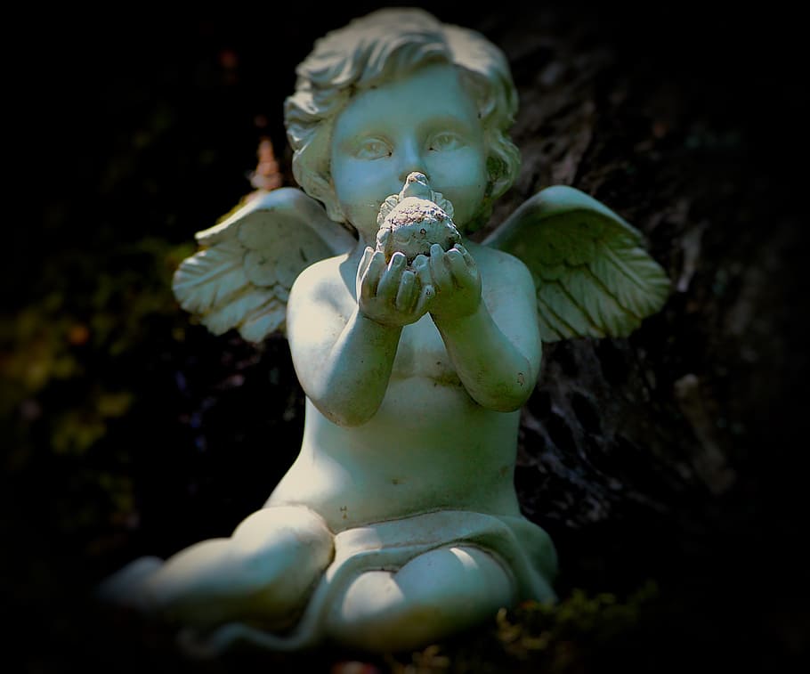 white angel concrete statue, Angel, Wing, Motif, Nikon, Mystical