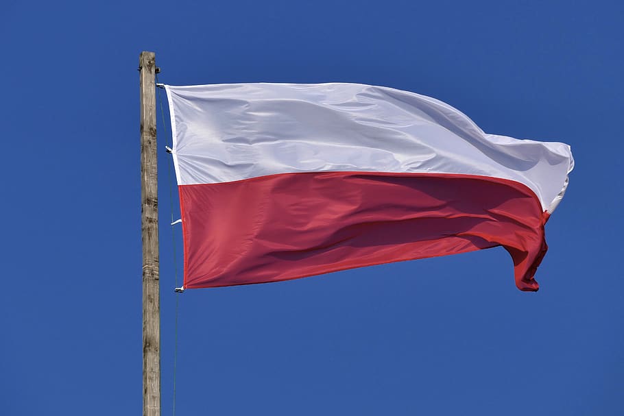 banner, flag, pennant, szturmówka, wimpel, bandera, emblem, HD wallpaper