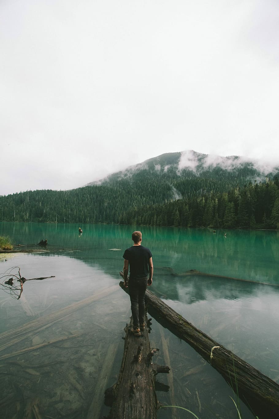 person standing on tree log, man in black shirt standing on brown tree log on lake during daytime HD wallpaper