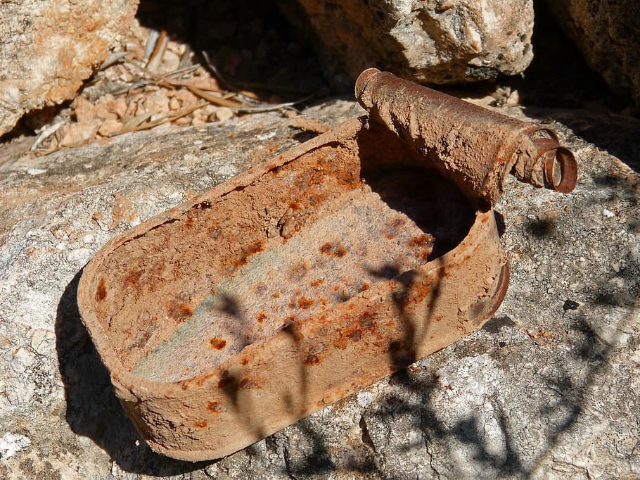 can, old, rusty, vintage, sardines, close-up, nature, no people HD wallpaper