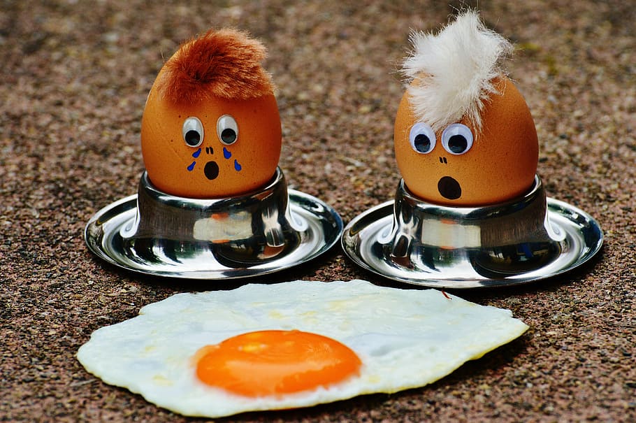 two brown eggs on holders with fried egg illustration, mourning HD wallpaper