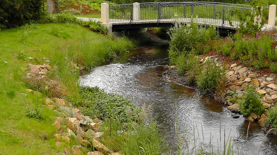 park, water, bridge, bach, plant, beautiful, harmony, grass HD wallpaper
