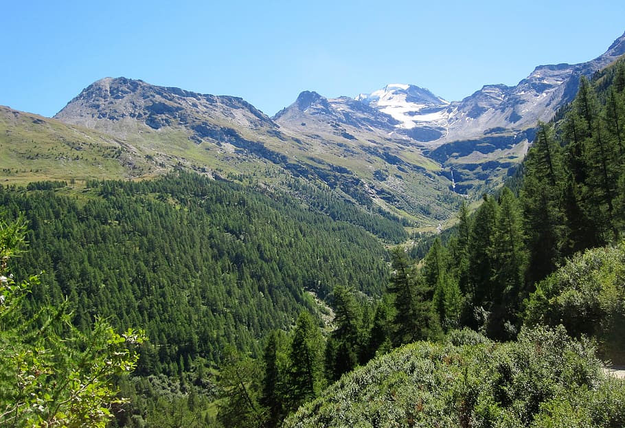 alpine, switzerland, summer, nature, landscape, swiss alps, HD wallpaper