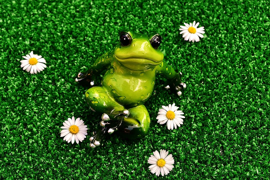 frog, funny, cute, figure, sweet, nature, green Color, grass HD wallpaper