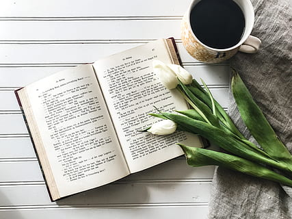 open book, tulips, from above, looking down, coffee, study HD wallpaper