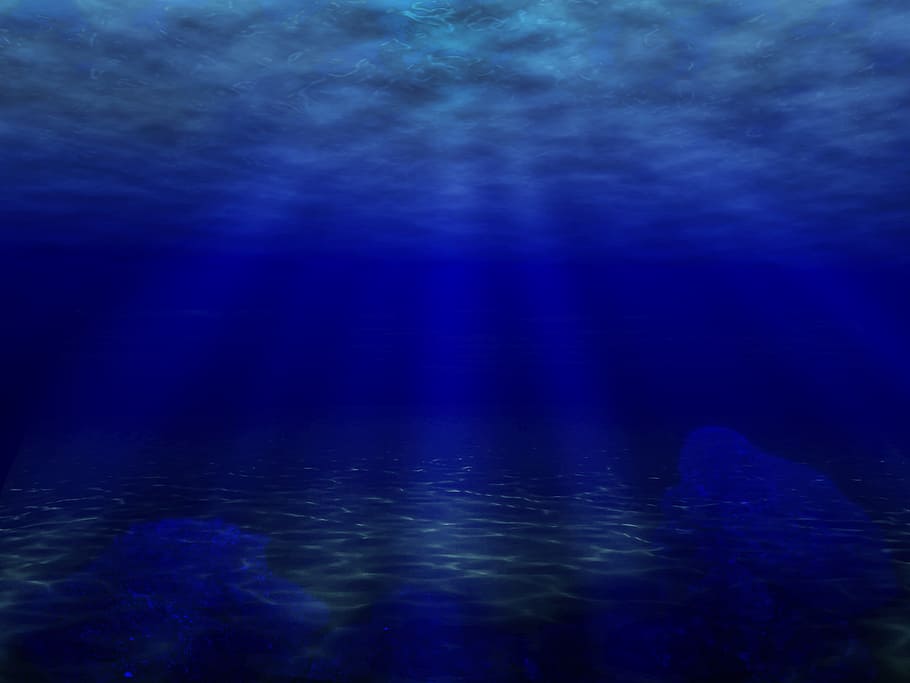HD wallpaper: blue sea underwater photography, ocean, fish, diving ...
