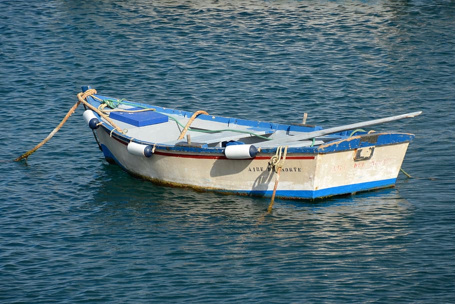 boot, fischer, sea, fish, fishing boat, lake, water, port, exit HD wallpaper