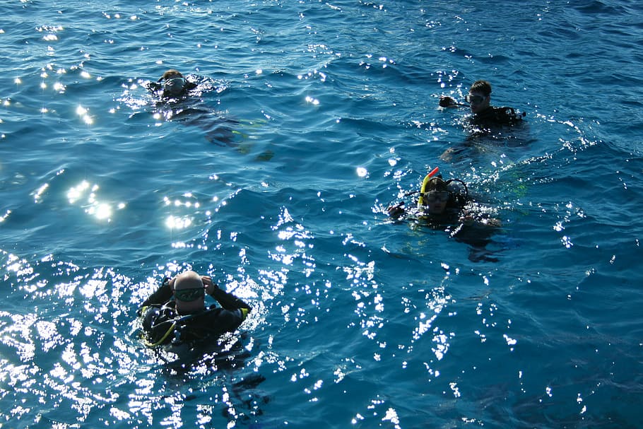 Divers, Ocean, Blue, Blue, Sea, Sea, Water, salt water, sun, HD wallpaper