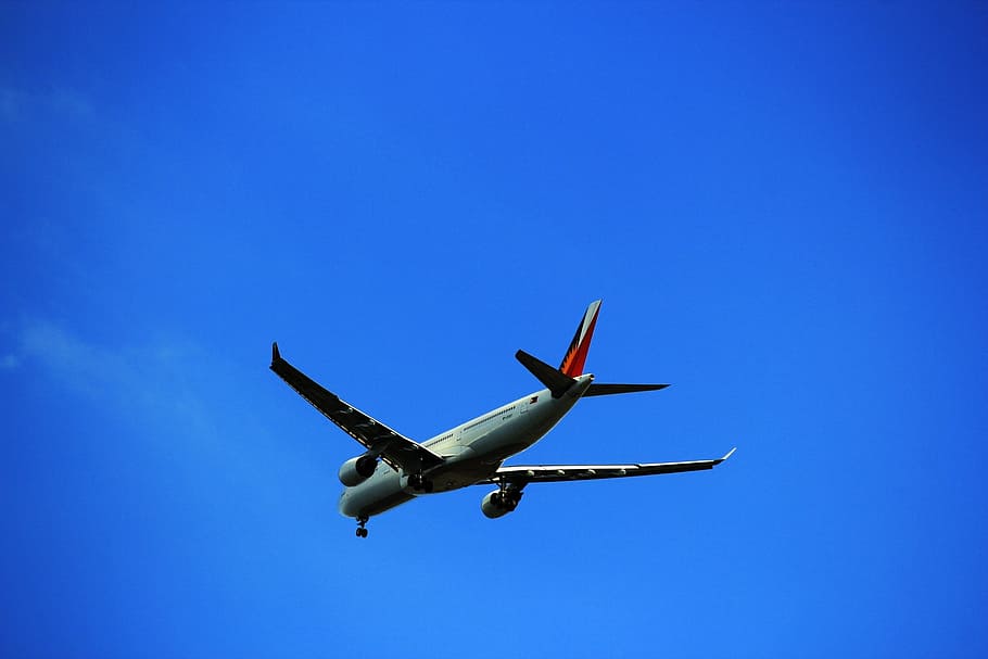 airplane, airbus, fly, gravity, wings, philippine air lines HD wallpaper