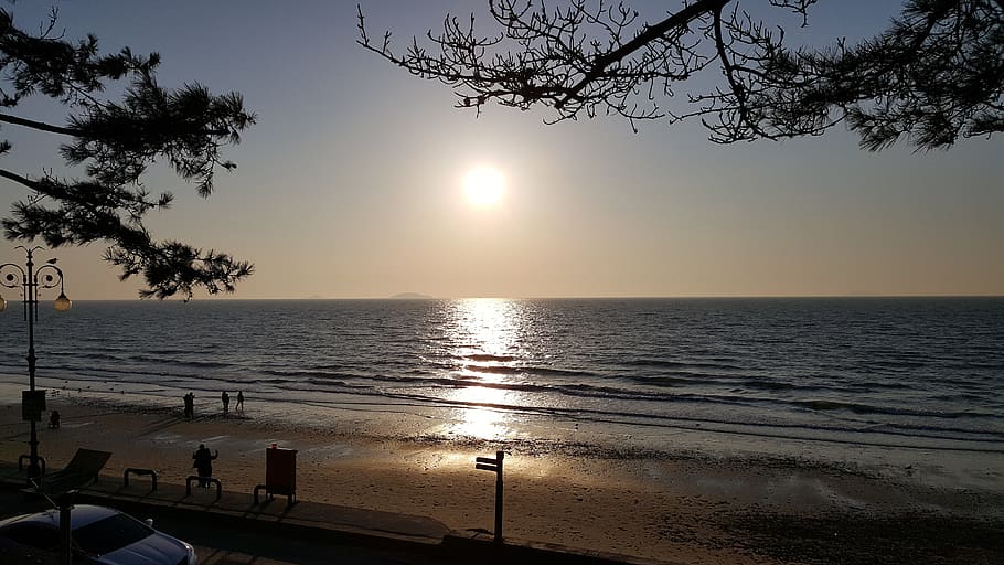 glow, beach, sunset, sky, water, sea, tree, beauty in nature HD wallpaper