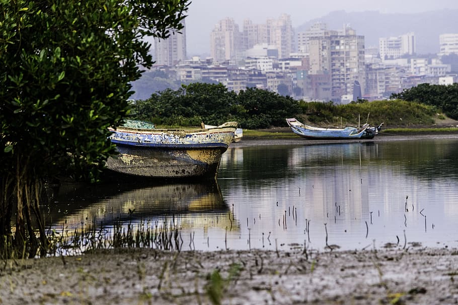 river, boat, reflection, tree, city, water, nautical vessel HD wallpaper