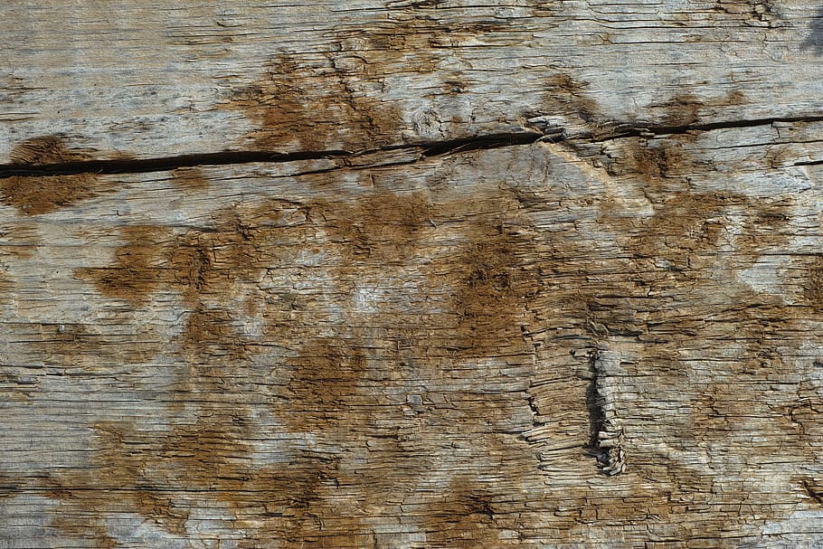 model, textile, wallpaper, old, rude, architecture, wood, texture HD wallpaper