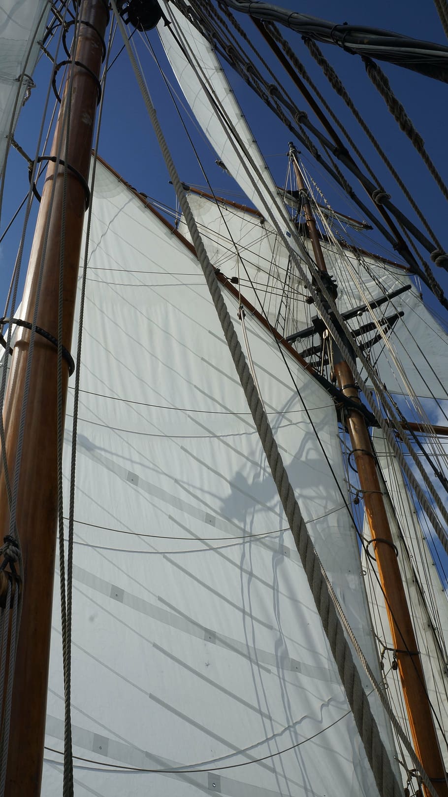 rigging, sailboat, sailing, ship, ocean, historic, white, rope HD wallpaper
