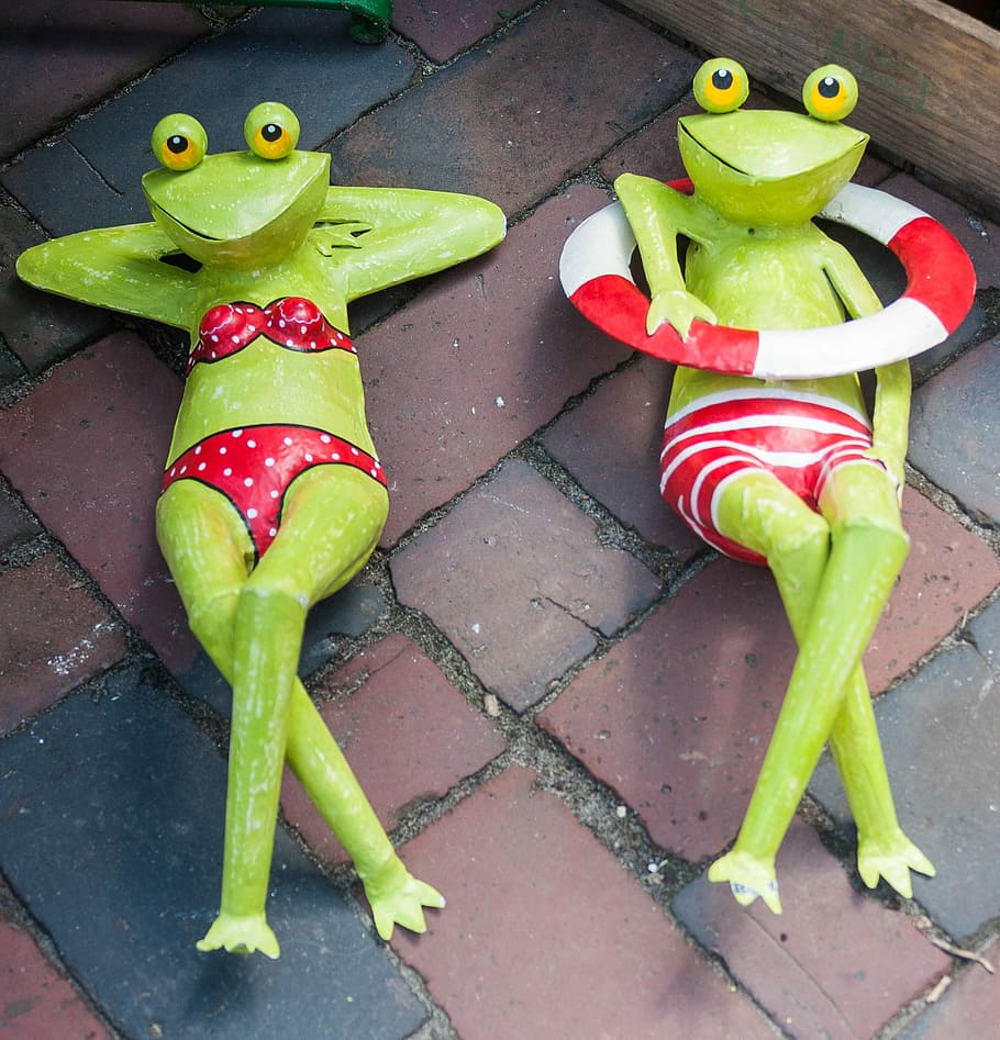 Relax, Frog, Serenity, Cute, funny, figure, rest, food and drink HD wallpaper