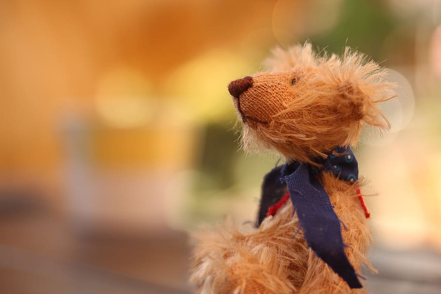 selective focus photography of doll with bow tie, bear, teddy bear, HD wallpaper