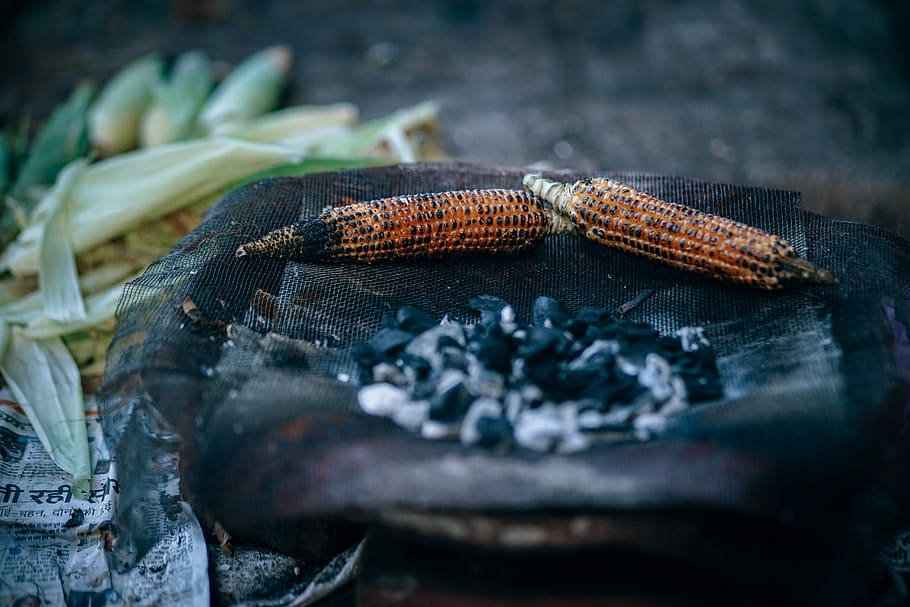 Yummy Roasted Corn, grilled corns on grilling pan during daytime HD wallpaper