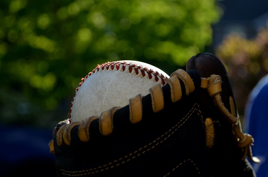 man holding baseball, glove, tree, sport, equipment, sports balls HD wallpaper