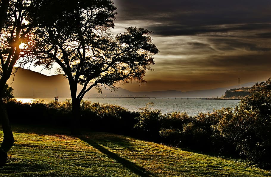 tree, river, landscape, water, nature, sunset, scene, green HD wallpaper