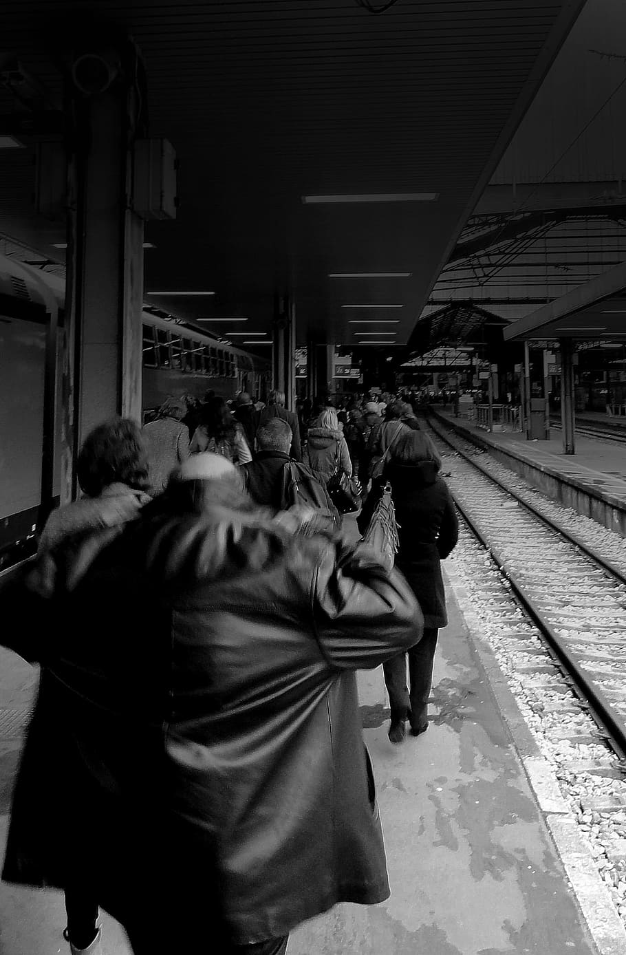 station, railway platform, arrival, group of people, rail transportation HD wallpaper