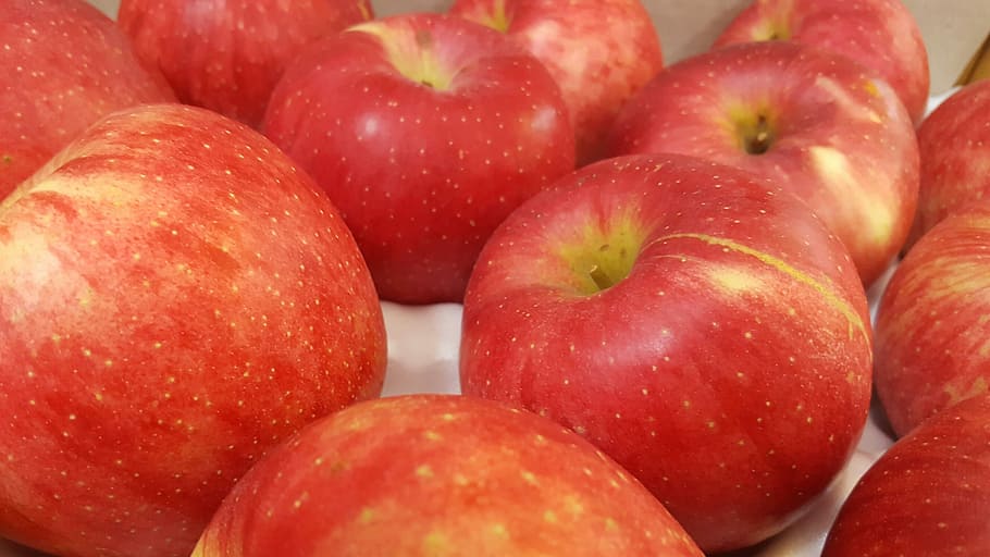 Red, Apple, Fruit, food and drink, healthy eating, freshness HD wallpaper